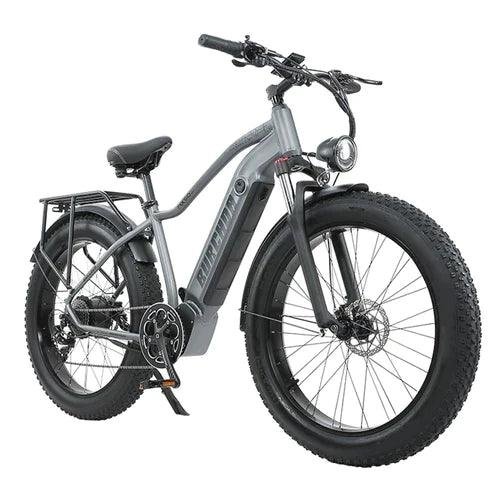 burchda-rx50-electric-bike-pogo-cycles-1.jpg